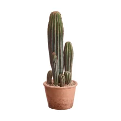 Artificial potted san pedro cactus, 15,5"