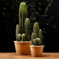 Artificial potted san pedro cactus, 9,5"