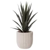 Artificial potted yucca plant, 31 x 16"