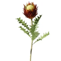 Artificial Protea orange 35 inch
