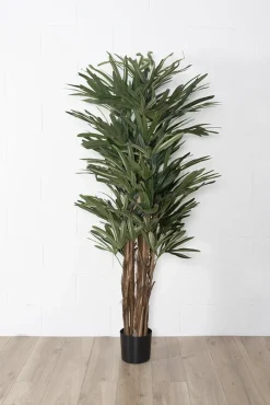 Artificial raphis palm, 60"