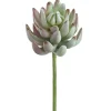 Artificial real-touch senecio succulent, 6,5"