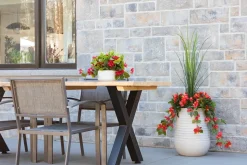 Artificial red hibiscus in a grey terrazzo beige pot, 55"