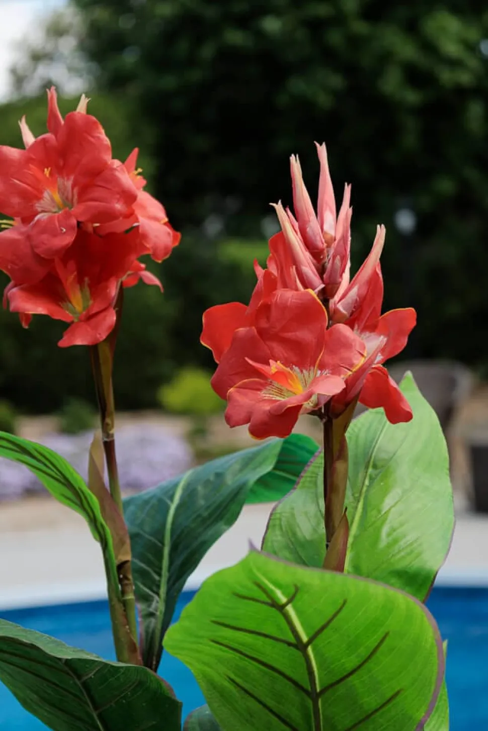 Artificial red outdoor canna in a grey terrazzo beige pot, 62"