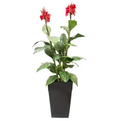 Artificial red potted outdoor canna, 62"