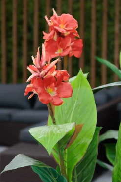 Artificial red potted outdoor canna, 62