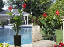 Artificial red potted outdoor canna, 62