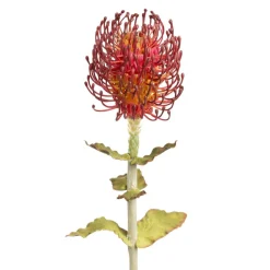 Artificial red protea flower, 27"