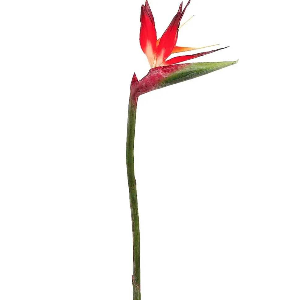 Artificial red-orange bird of paradise flower, 31"