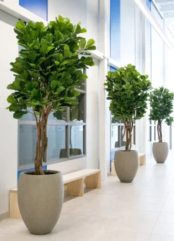 Artificial round fiddle-leaf fig handmade tree