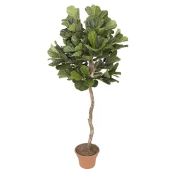 Artificial round fiddle-leaf fig handmade tree