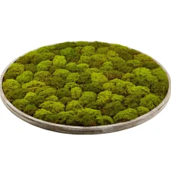 Artificial round textured moss plant wall, 48 x 48"