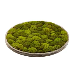 Artificial round textured moss plant wall, 36 x 36"