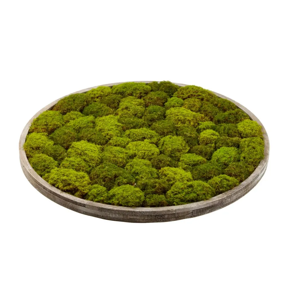 Artificial round textured moss plant wall, 36 x 36"