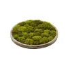 Artificial round textured moss plant wall, 24 x 24"