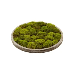 Artificial round textured moss plant wall, 24 x 24"