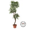 Artificial ruscus handmade tree
