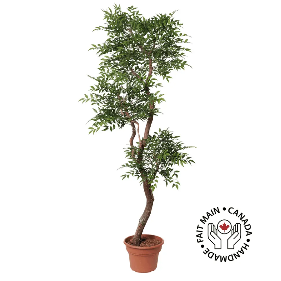 Artificial ruscus handmade tree