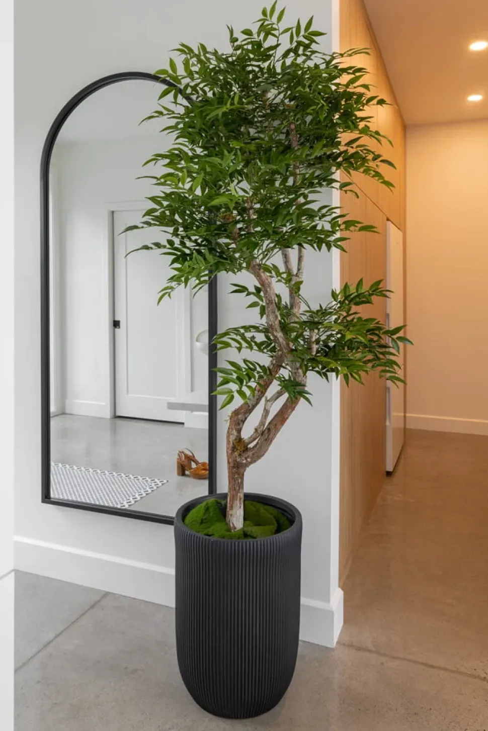 Artificial ruscus handmade tree