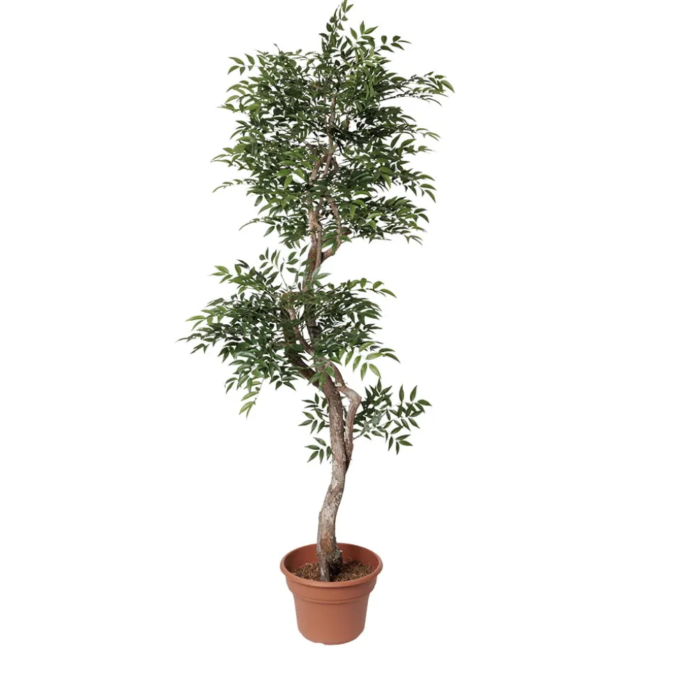 Artificial ruscus handmade tree