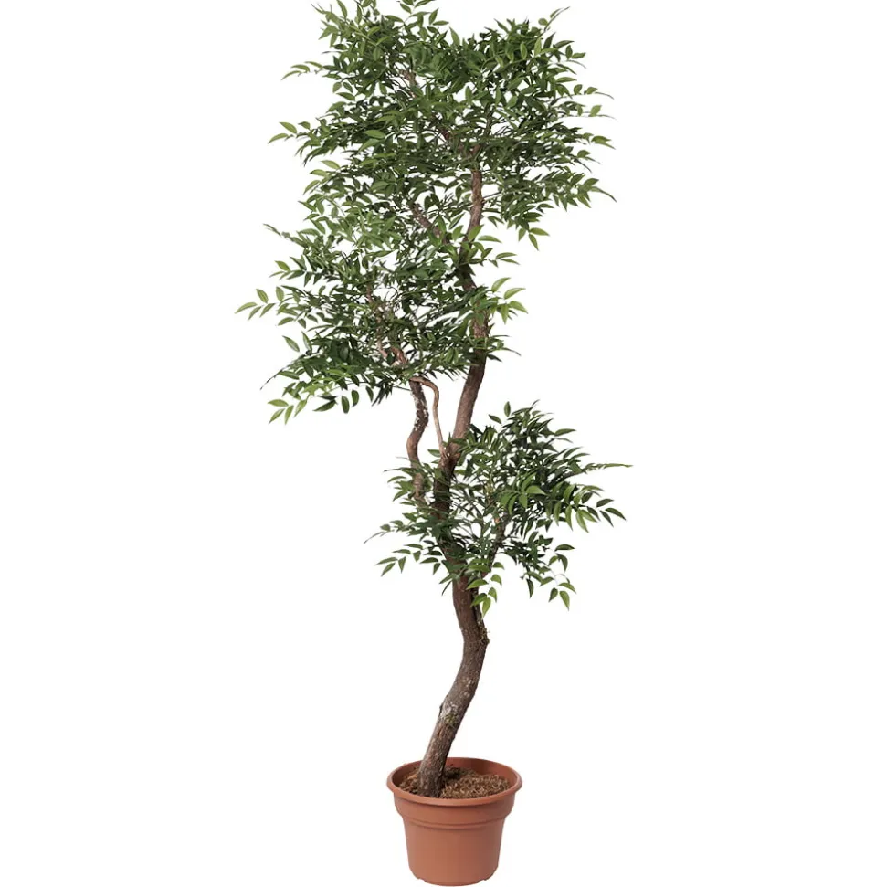 Artificial ruscus handmade tree