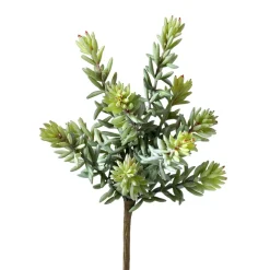Artificial sedum album succulent, 10"