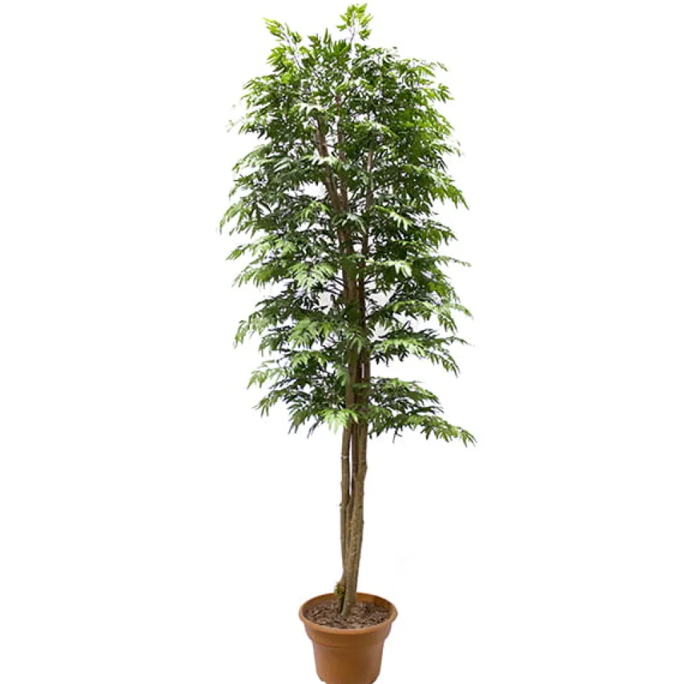 Artificial simple aralia ming handmade tree
