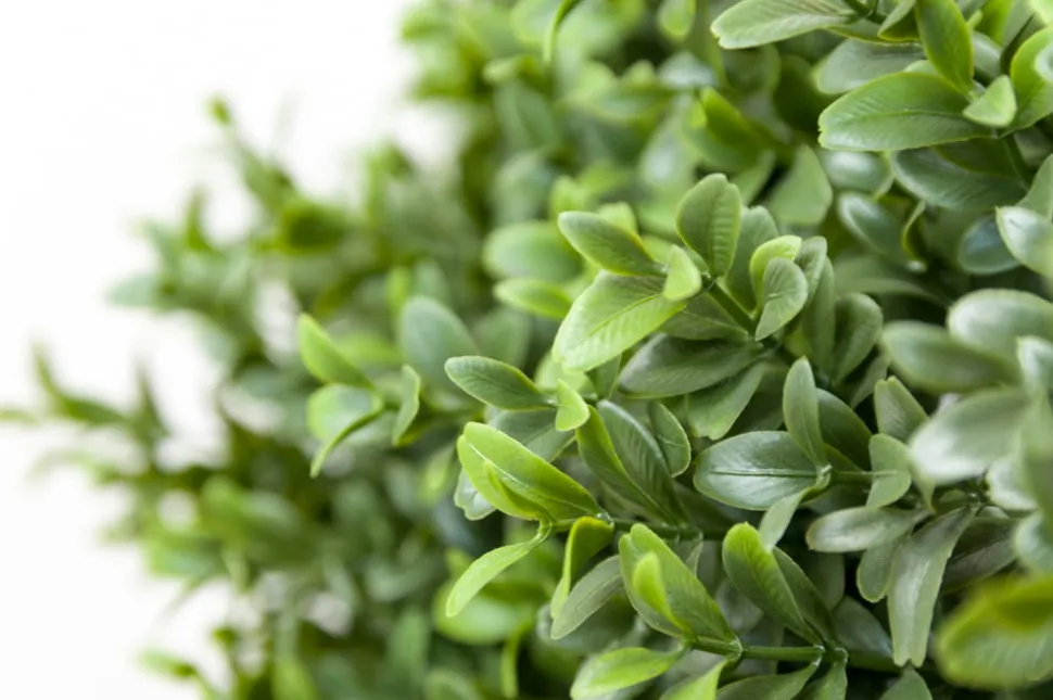 Artificial simple boxwood topiary, 27"