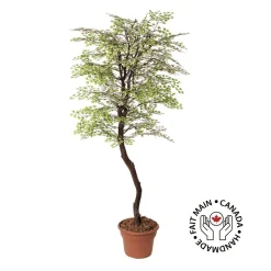 Artificial simple maidenhair handmade tree
