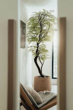 Artificial simple maidenhair handmade tree