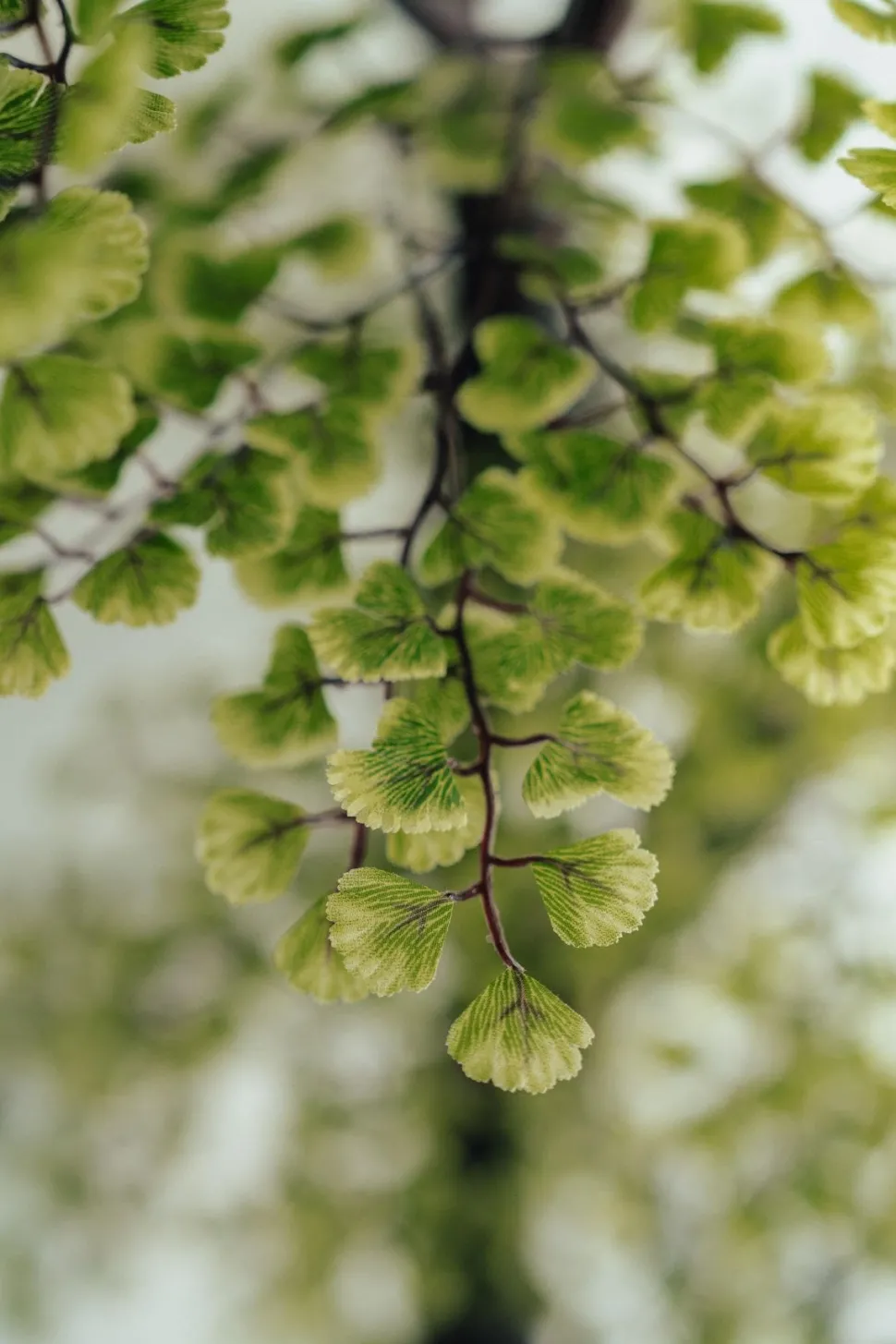 Artificial simple maidenhair handmade tree