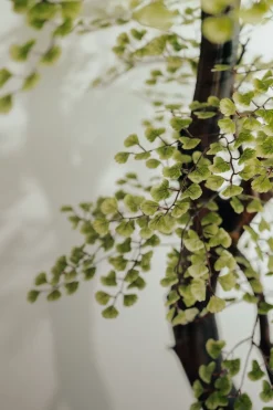 Artificial simple maidenhair handmade tree