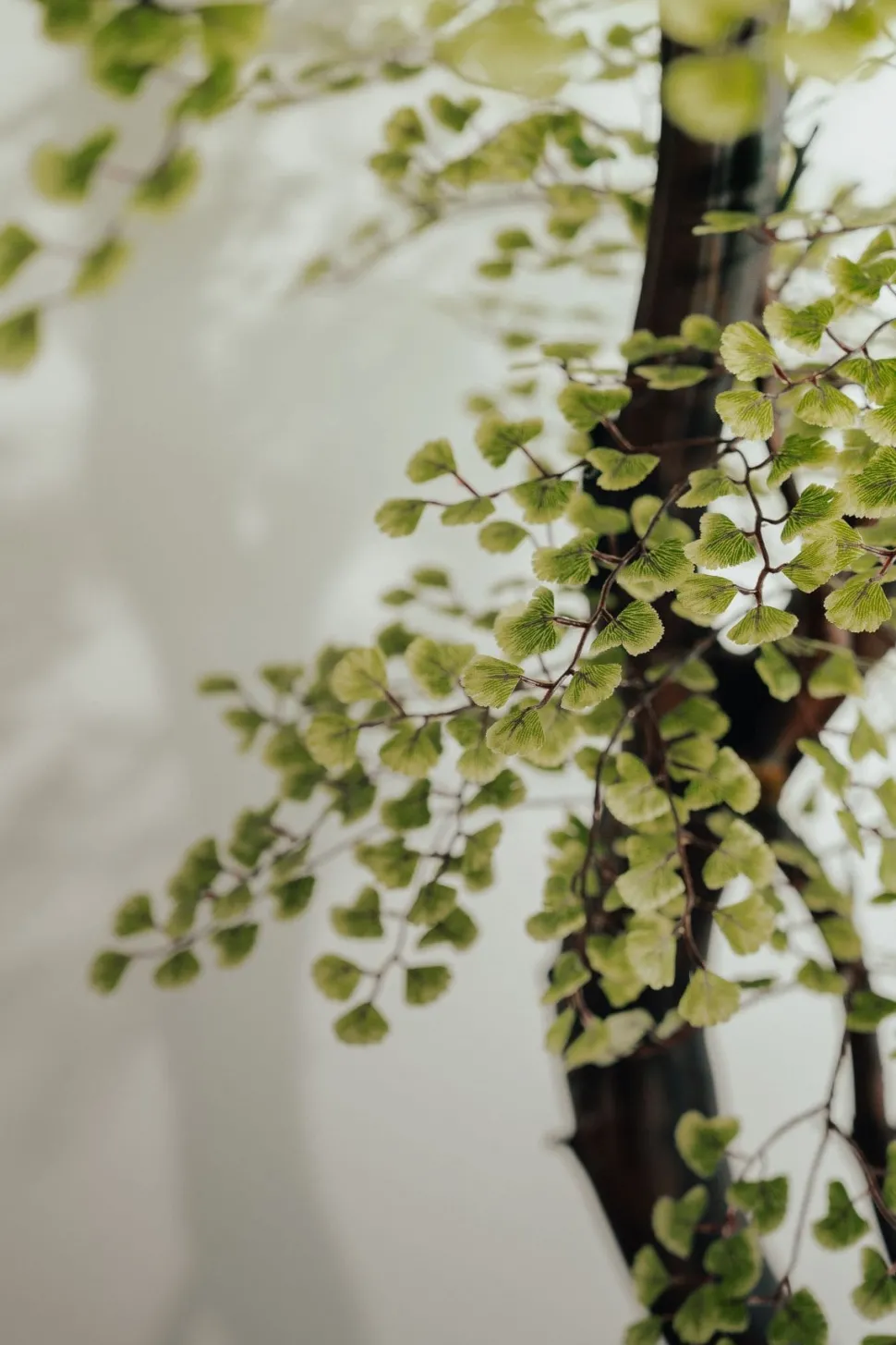 Artificial simple maidenhair handmade tree