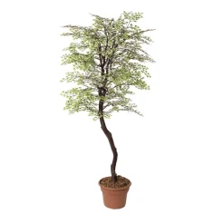 Artificial simple maidenhair handmade tree