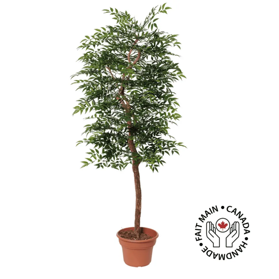 Artificial simple ruscus handmade tree