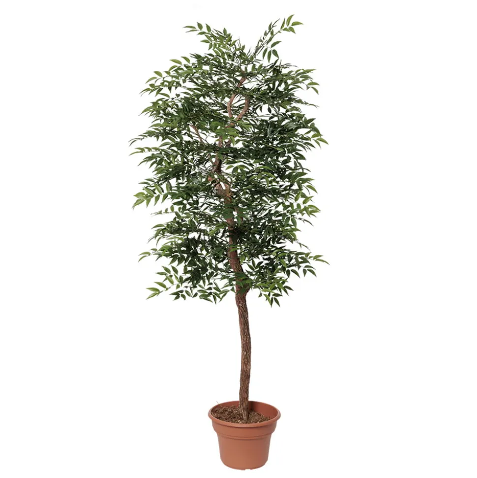 Artificial simple ruscus handmade tree