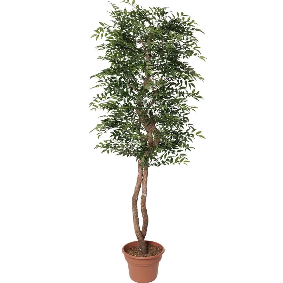Artificial simple ruscus handmade tree