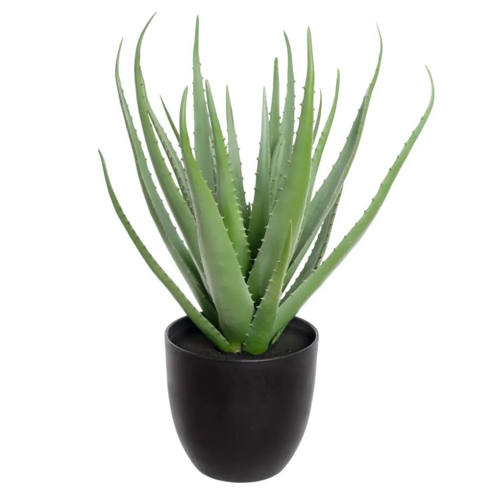 Artificial small aloes in a black pot, 19,5"