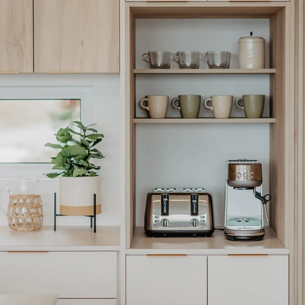 Artificial small green clusia plant, 15"