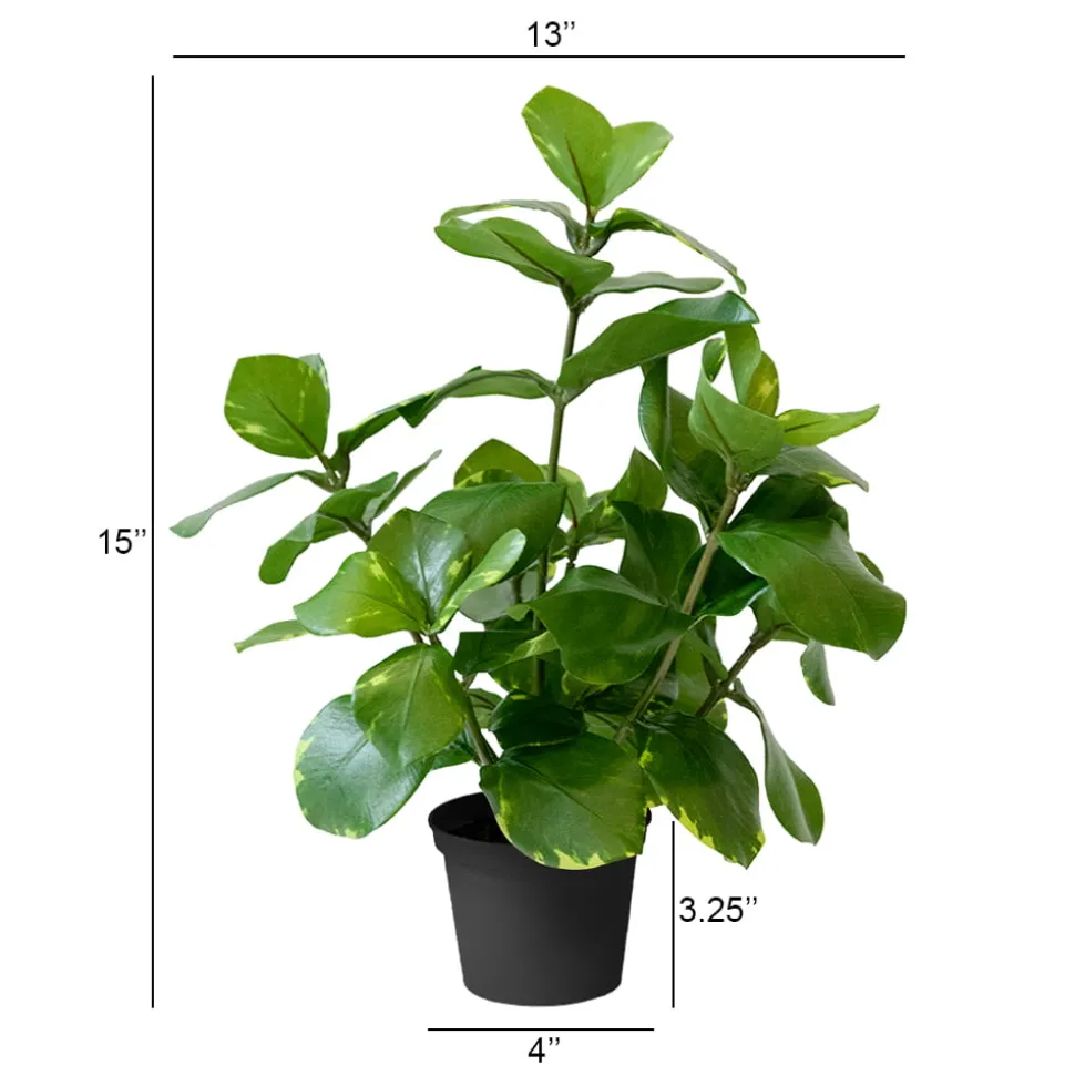 Artificial small green clusia plant, 15"