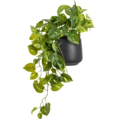 Artificial small pothos plant in a black pot