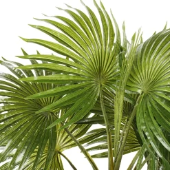 Artificial small potted fan palm tree