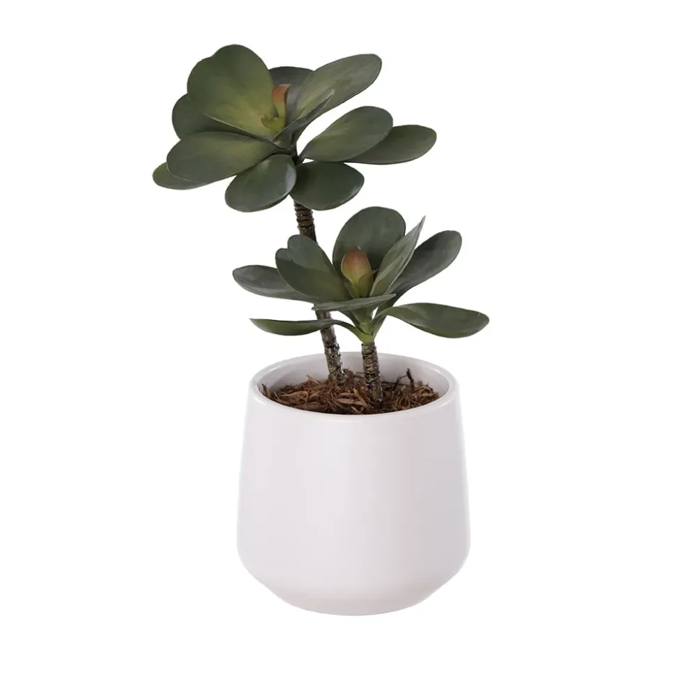 Artificial small succulent in a white pot