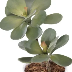 Artificial small succulent in a white pot