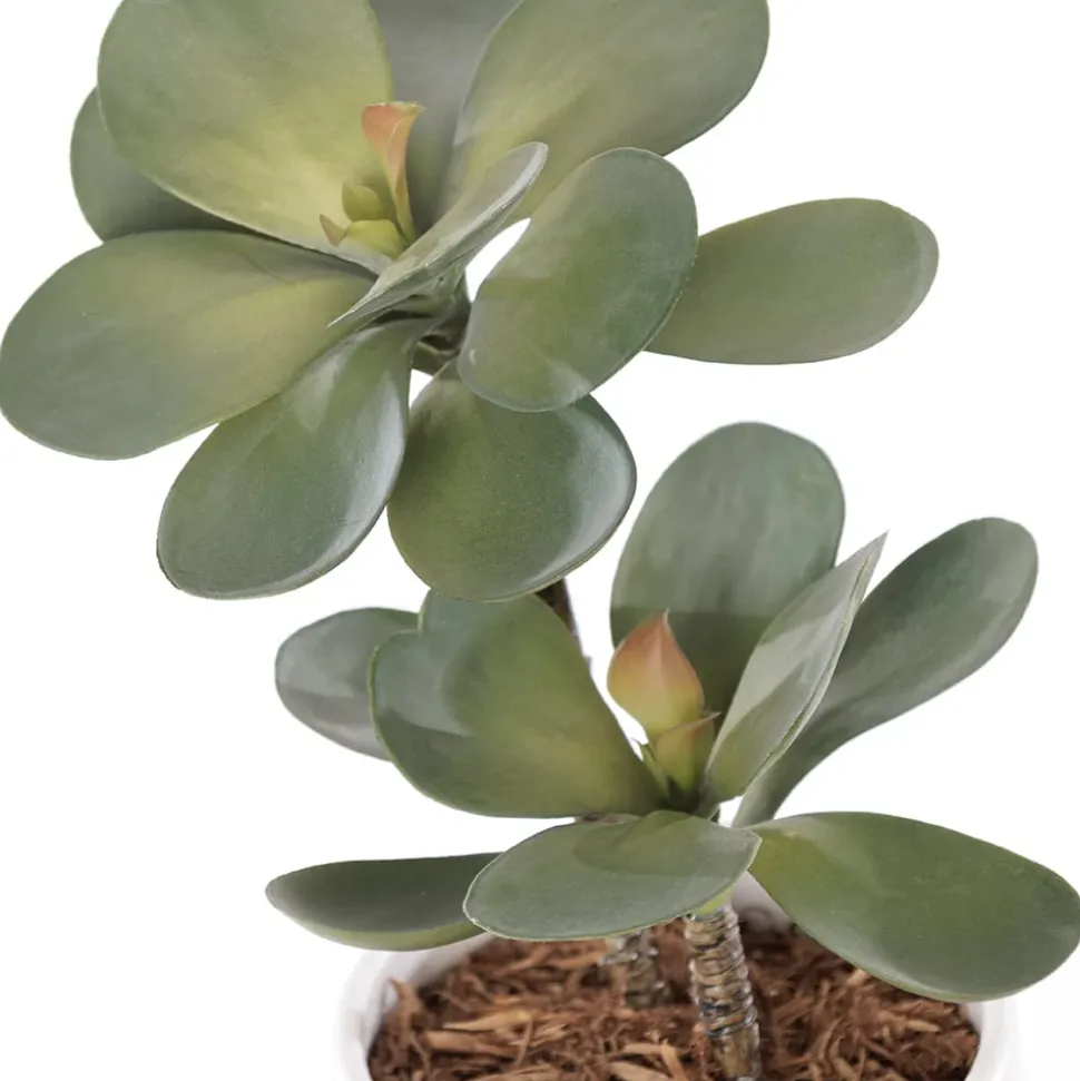 Artificial small succulent in a white pot