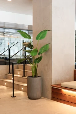 Artificial soft-touch bird of paradise, 72"