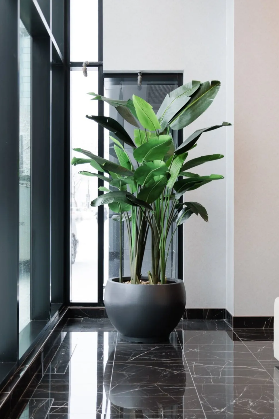 Artificial soft-touch bird of paradise, 84"