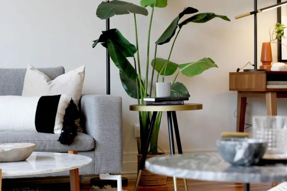 Artificial soft-touch bird of paradise, 84"