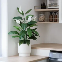 Artificial spathiphyllum plant, 34″
