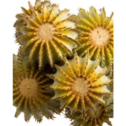 Artificial stem with cactus balls, 14"